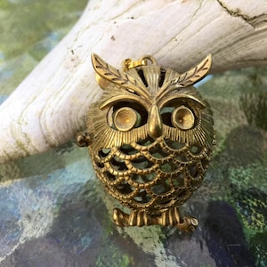 Può includere: Un ciondolo vintage a forma di gufo in ottone con intricati dettagli traforati. Il gufo ha grandi occhi rotondi e una superficie strutturata, con un piccolo anello nella parte superiore per appenderlo. Il ciondolo è posto su uno sfondo sfocato verde e blu.