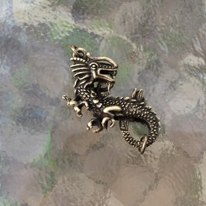 May include: A detailed brass dragon pendant with a curled tail and a ring for attaching a chain.