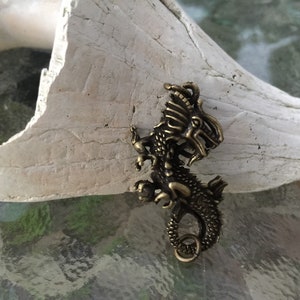May include: A gold-toned metal dragon charm pendant with intricate details. The dragon is curled up with its tail in its mouth.