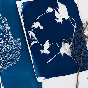 Solar Printing Cyanotype Kit, 6 X A5 Hand-coated Sheets Plus 2 X