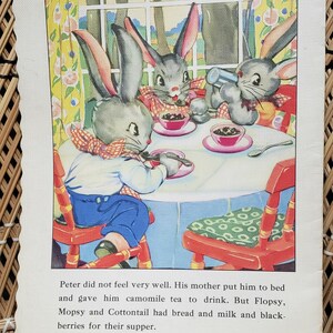 1947 Peter Rabbit Ruth Newton's Chubby Cubs, Soft Cover - Etsy