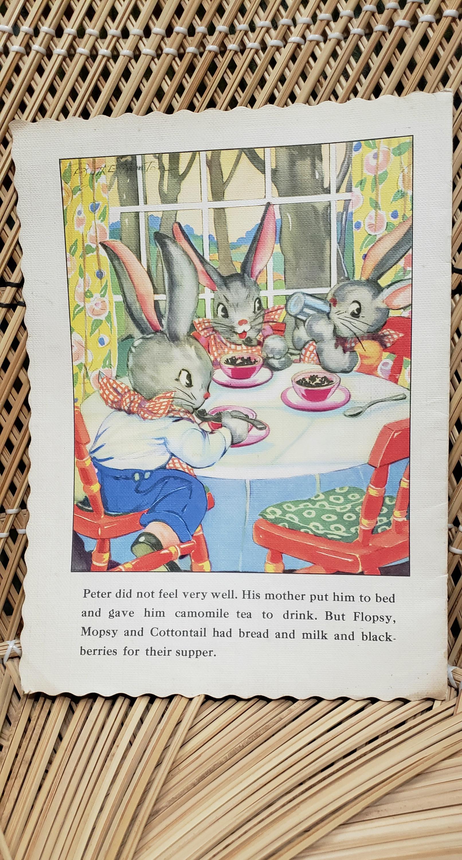 1947 Peter Rabbit Ruth Newton's Chubby Cubs, Soft Cover - Etsy