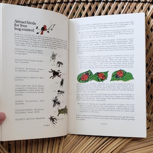 May include: Open book with text and illustrations about attracting birds for free bug control. The left page has a title and a list of insects. The right page has text and illustrations of ladybugs on leaves.