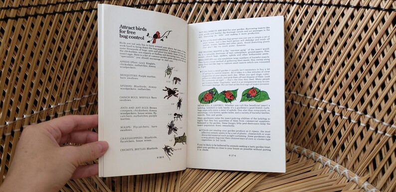 May include: Open book with text and illustrations about attracting birds for free bug control. The left page has a title and a list of insects. The right page has text and illustrations of ladybugs on leaves.