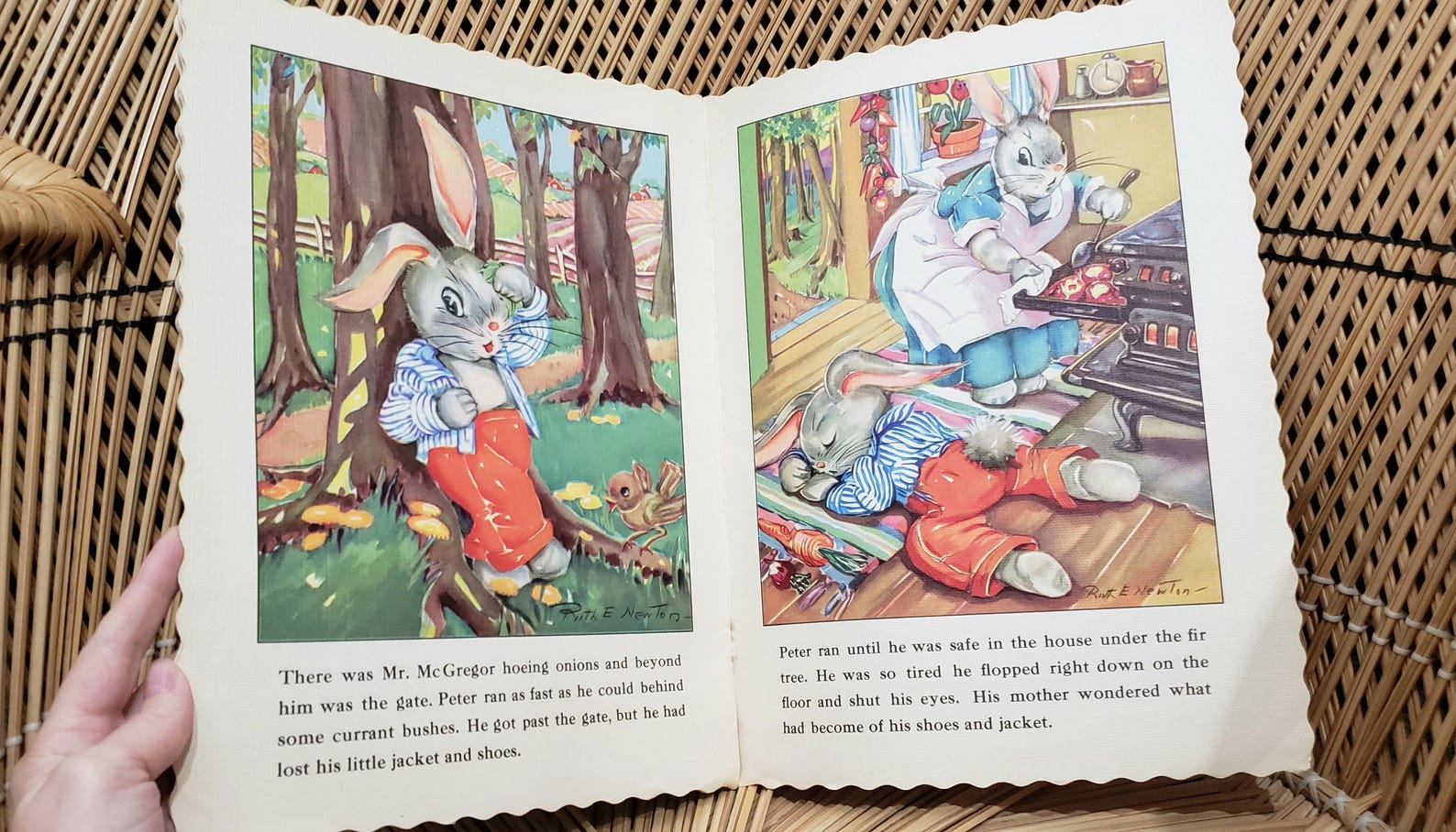1947 Peter Rabbit Ruth Newton's Chubby Cubs, Soft Cover - Etsy