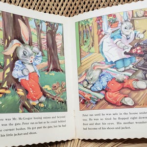 1947 Peter Rabbit Ruth Newton's Chubby Cubs, Soft Cover - Etsy