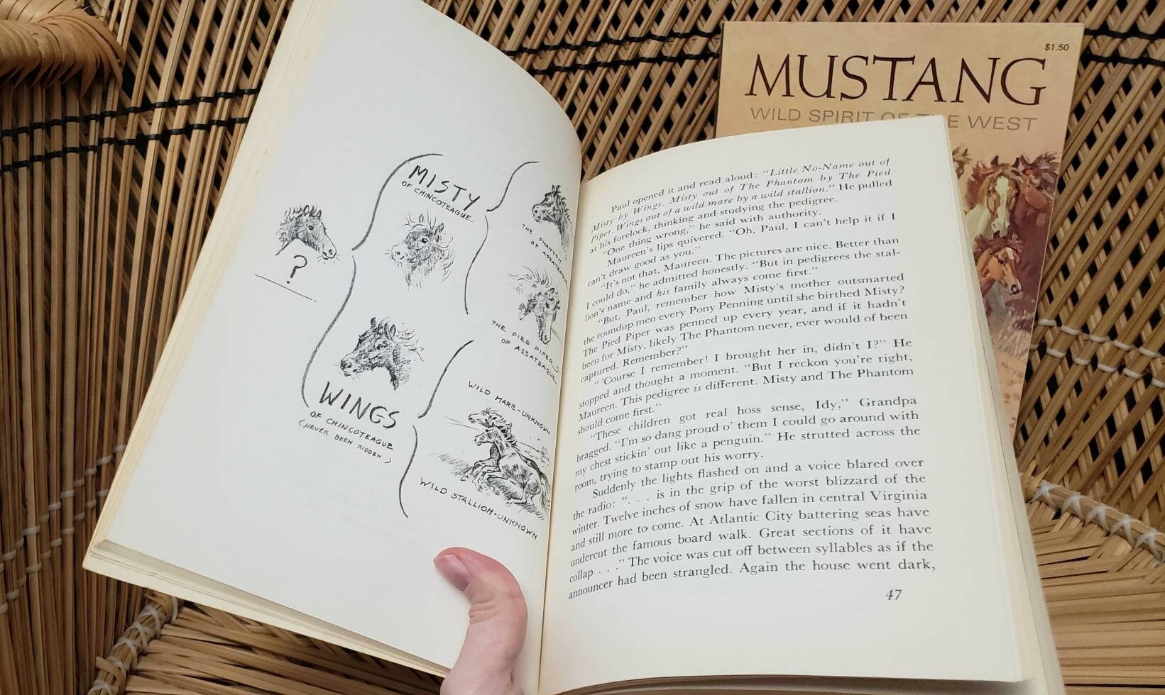 misty books marguerite henry misty books marguerite henry