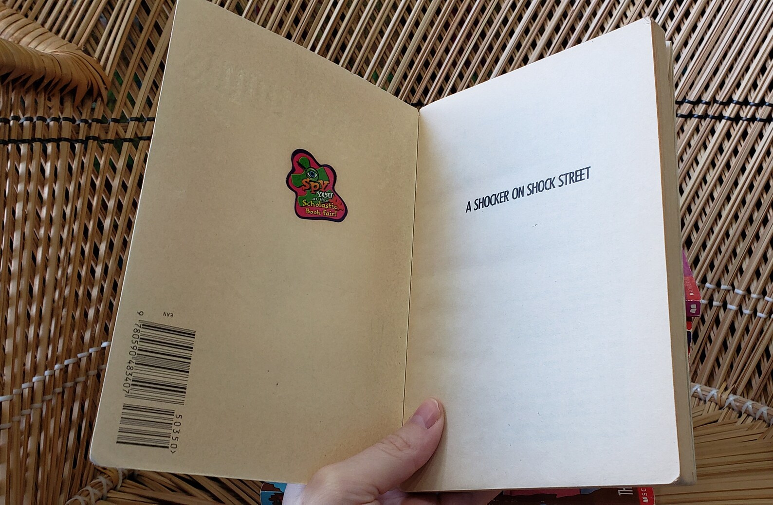 90s Goosebumps Books by R.L. Stein Scholastic, Buy 1 or All! - Etsy