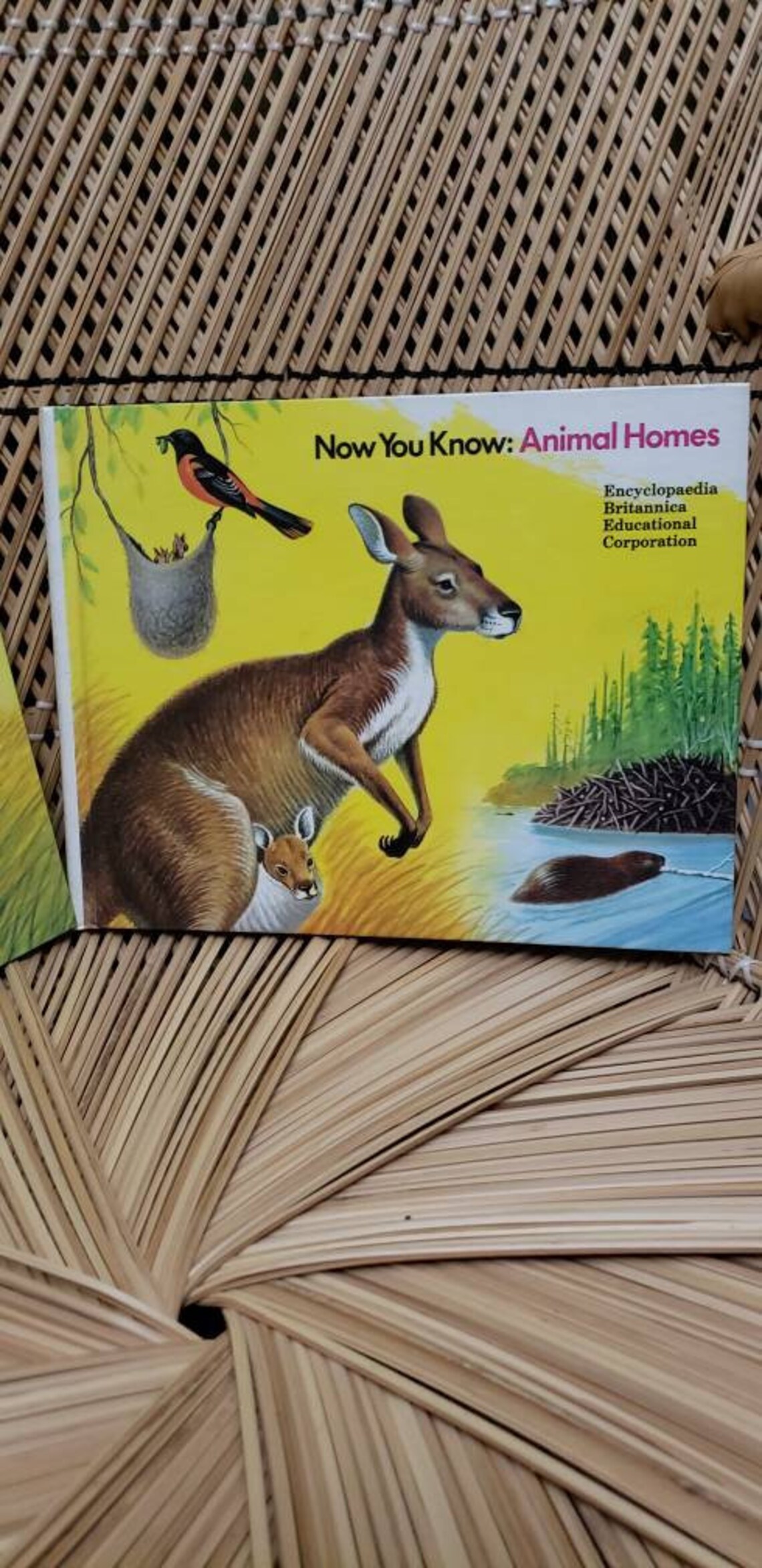 1972 Now You Know Books Set of 2 Now You Know Animal Homes & Etsy
