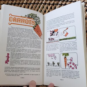 May include: Open book with text and illustrations about carrots. The left page features the title "CARROTS" in orange script with a drawing of carrots. The right page has illustrations of planting and growing carrots. The book is open on a woven surface.