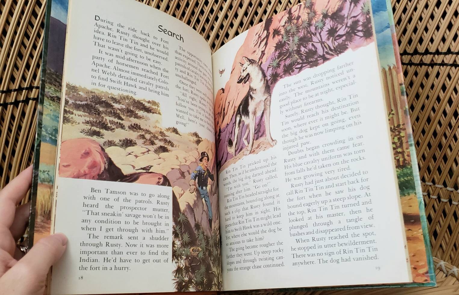 rin tin tin book review rin tin tin book review