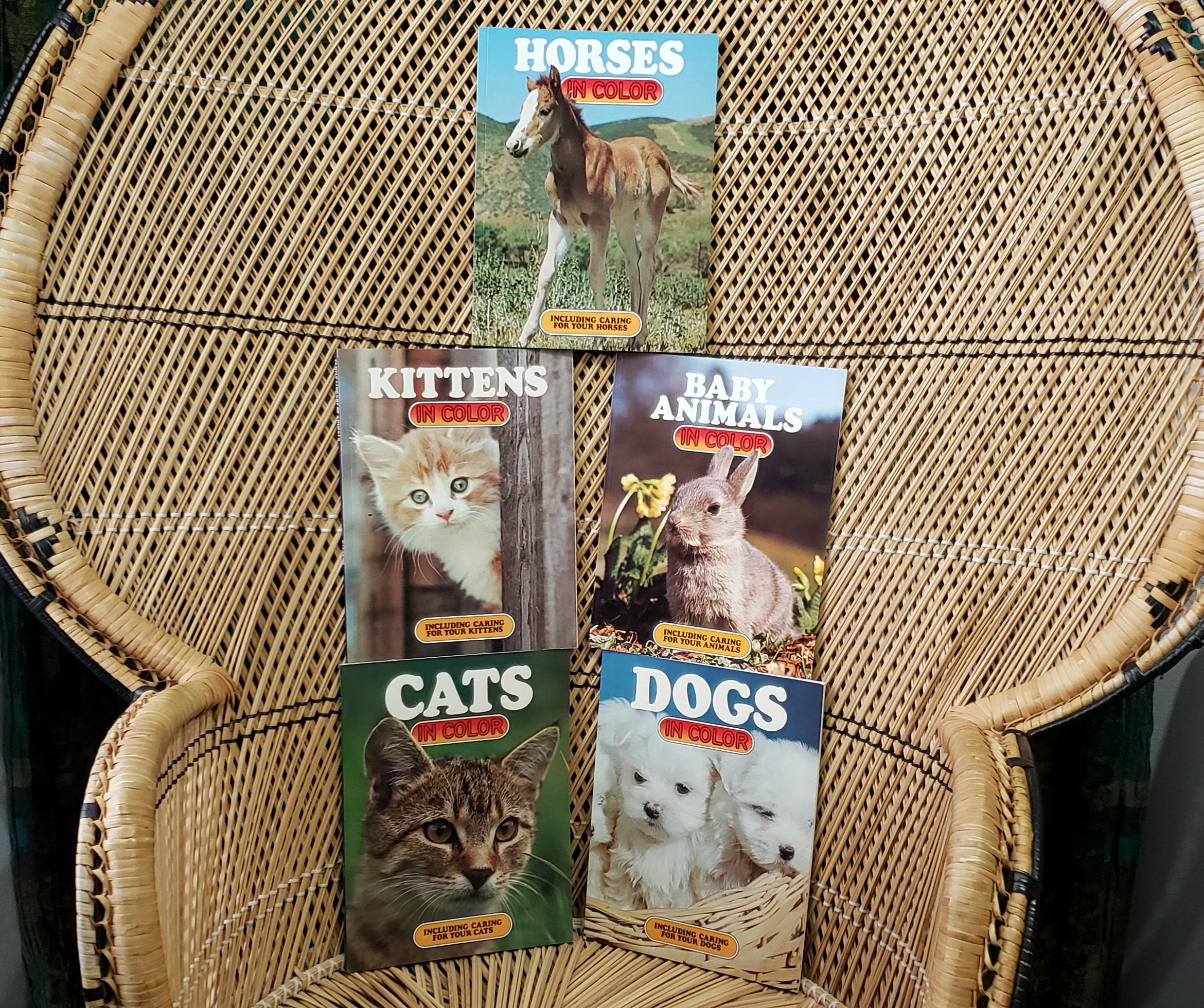 Library Animals Book 1979 Library of Animals Books Set of 5, Soft Covers - Etsy