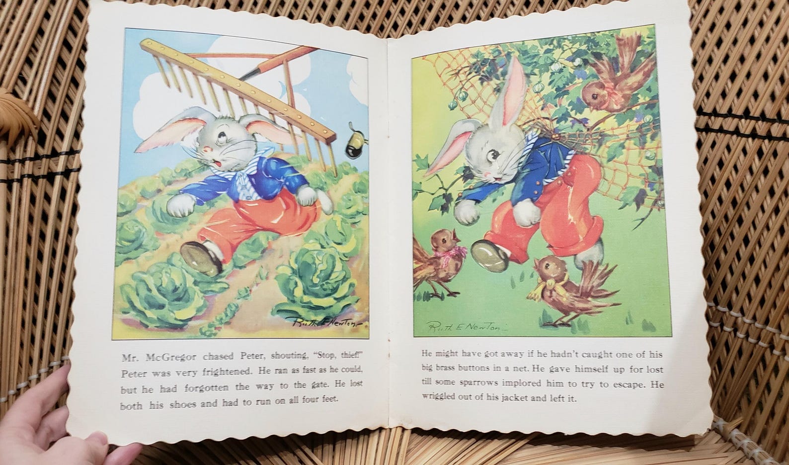 1947 Peter Rabbit Ruth Newton's Chubby Cubs, Soft Cover - Etsy