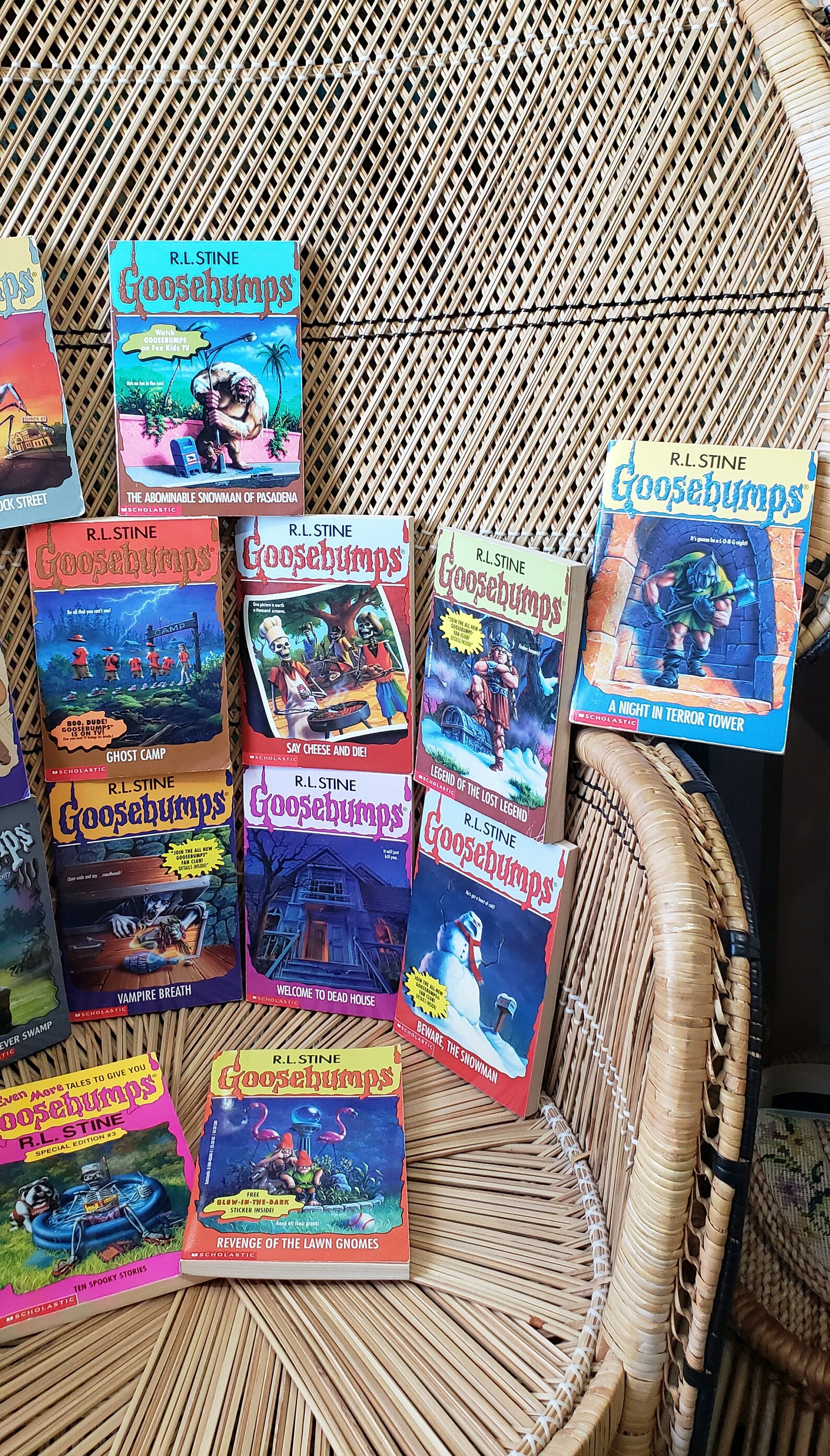 90s Goosebumps Books by R.L. Stein Scholastic, Buy 1 or All - Etsy