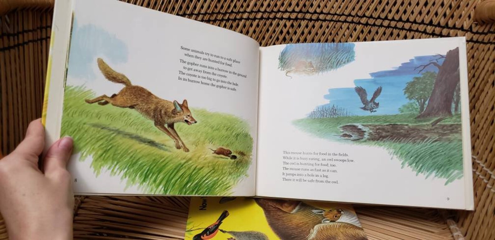 1972 Now You Know Books Set of 2 Now You Know Animal Homes & Etsy