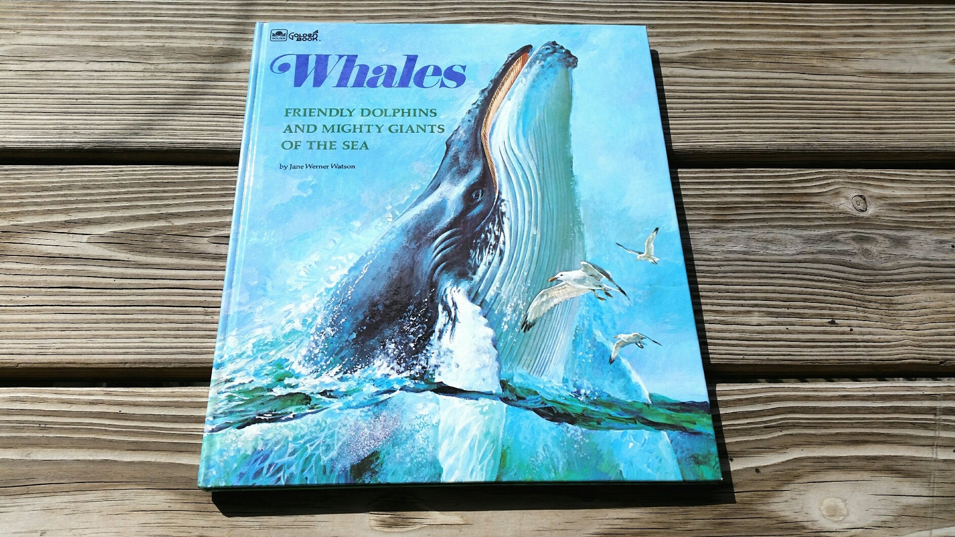1975 Whales Book Vintage Whale Book Whales Friendly Dolphins Etsy