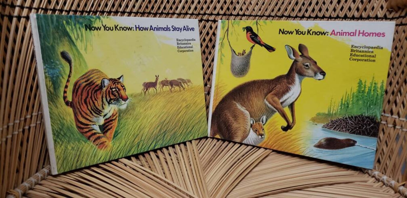 1972 Now You Know Books Set of 2 Now You Know Animal Homes & Etsy
