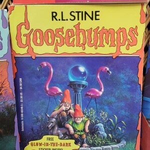 90s Goosebumps Books by R.L. Stein Scholastic Buy 1 or All - Etsy