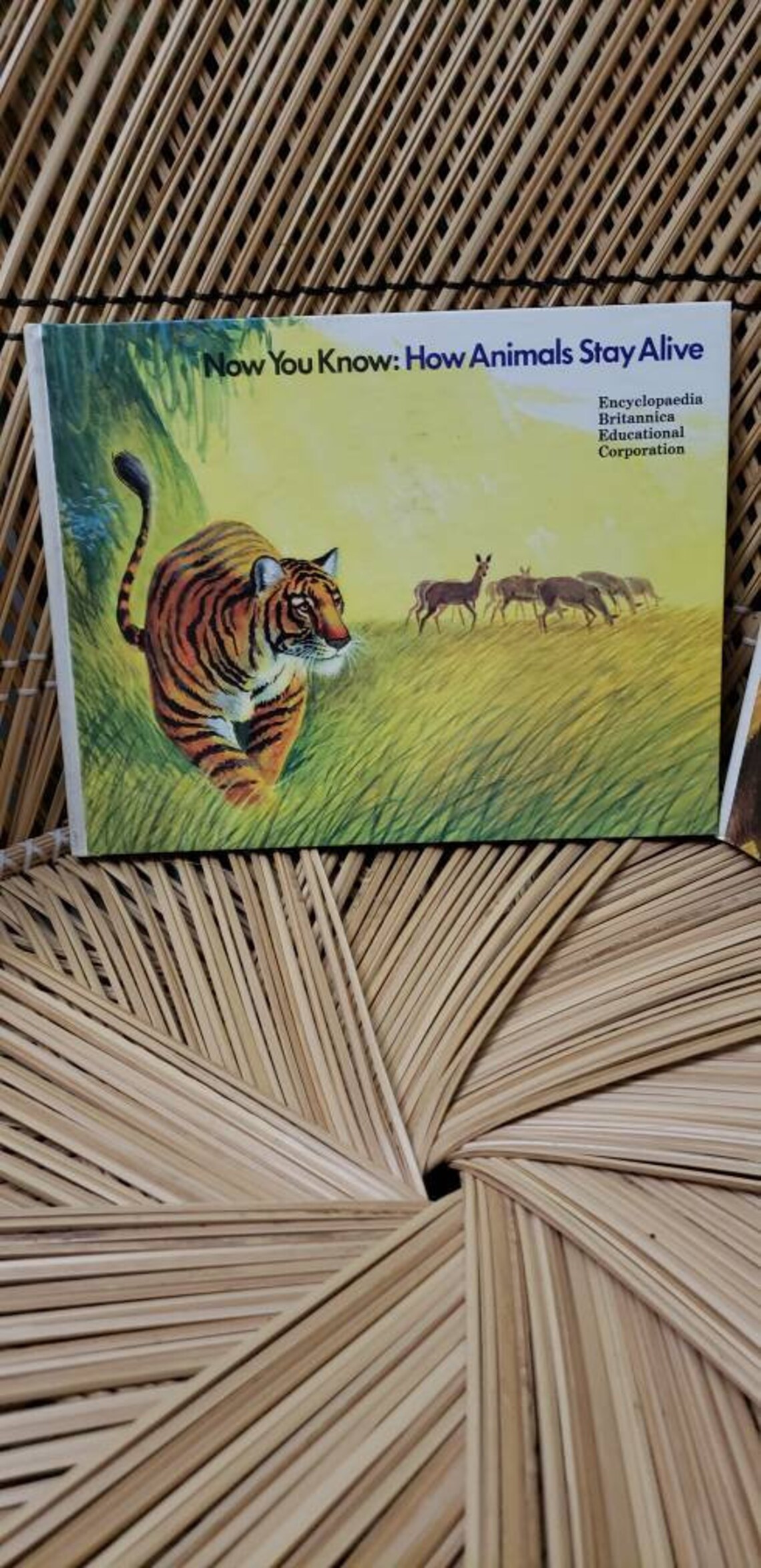 1972 Now You Know Books Set of 2 Now You Know Animal Homes & Etsy