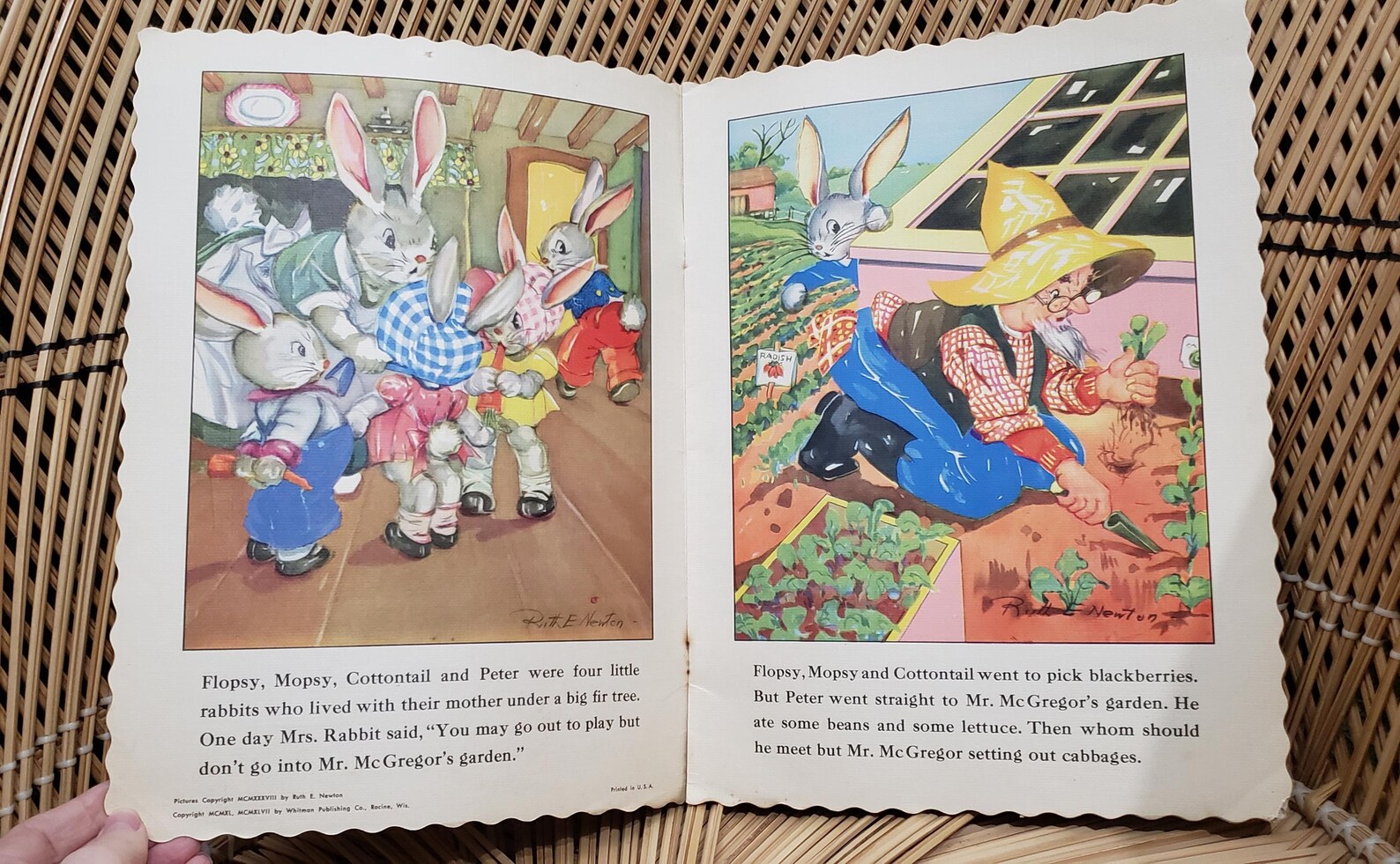 1947 Peter Rabbit Ruth Newton's Chubby Cubs, Soft Cover - Etsy