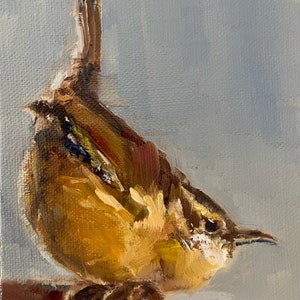 Carolina Wren