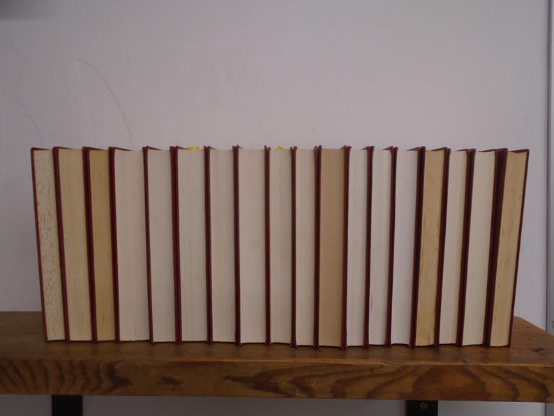 May include: A row of eighteen hardcover books arranged vertically with their spines facing away from the viewer. The books feature dark red spine edges and cream-colored pages, creating a uniform appearance across the entire collection.