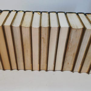 May include: A row of hardcover books with off-white pages and tan covers. The books are arranged with their spines facing upwards. The edges of the pages are slightly yellowed, indicating age. The covers have a dark brown border.