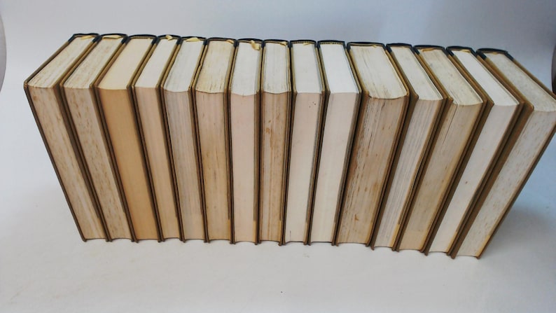 May include: A row of hardcover books with off-white pages and tan covers. The books are arranged with their spines facing upwards. The edges of the pages are slightly yellowed, indicating age. The covers have a dark brown border.