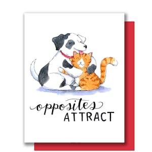 Gli opposti attirano il cane gatto che abbraccia la carta d'amore di San Valentino