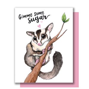 Gimme Some Sugar Sugar Glider Kisses Valentine Love Card