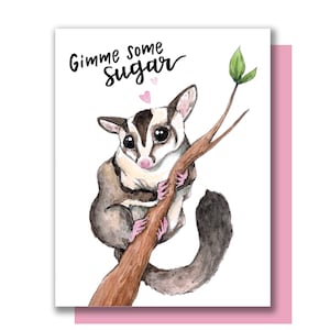 Gimme Some Sugar Sugar Glider Kisses Valentine Love Card