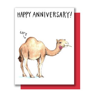 Buon anniversario Let's Hump Camel Card