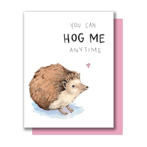 Cartão Você pode me hog a qualquer momento Hedgehog Valentine Love Hug