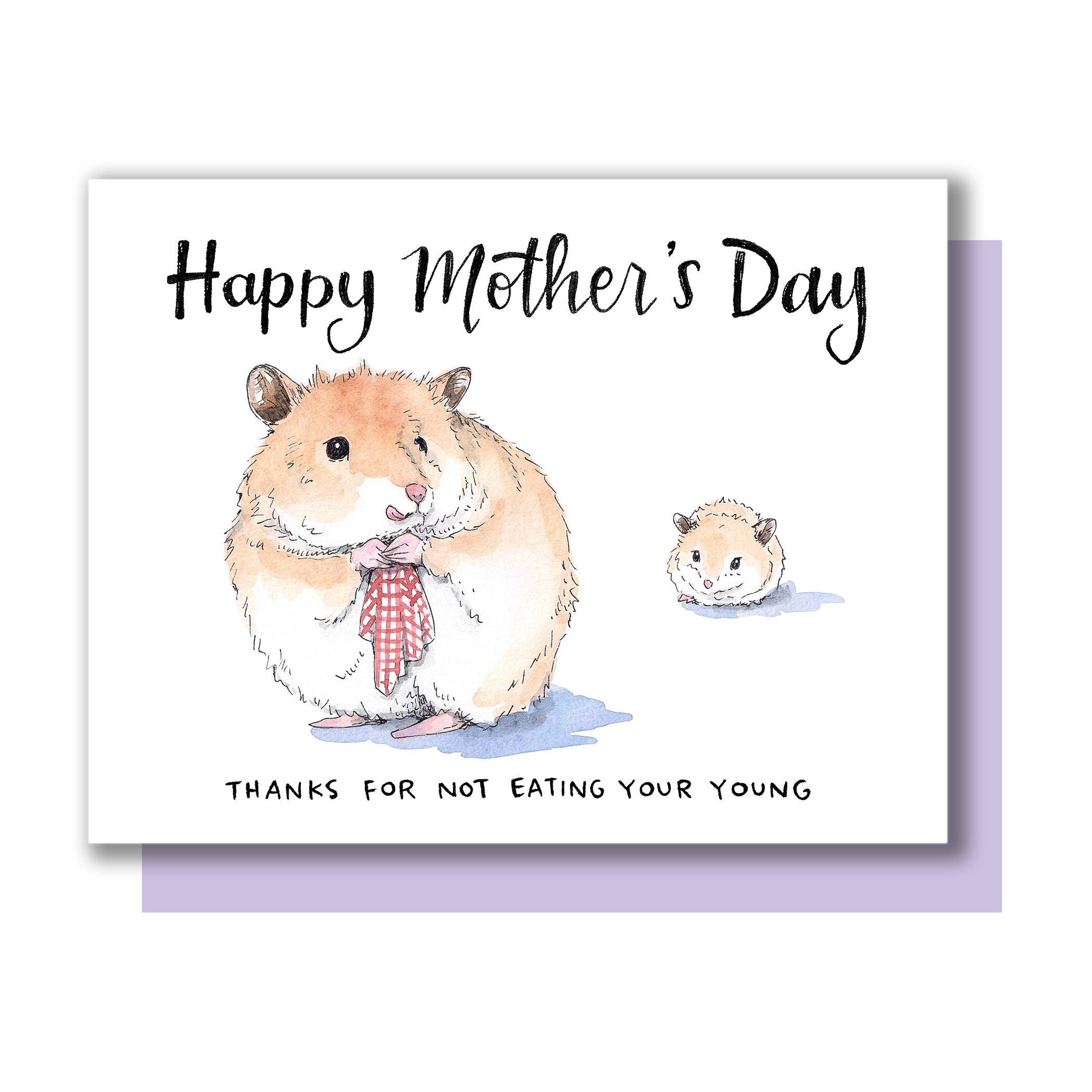 Hamster sales not eating