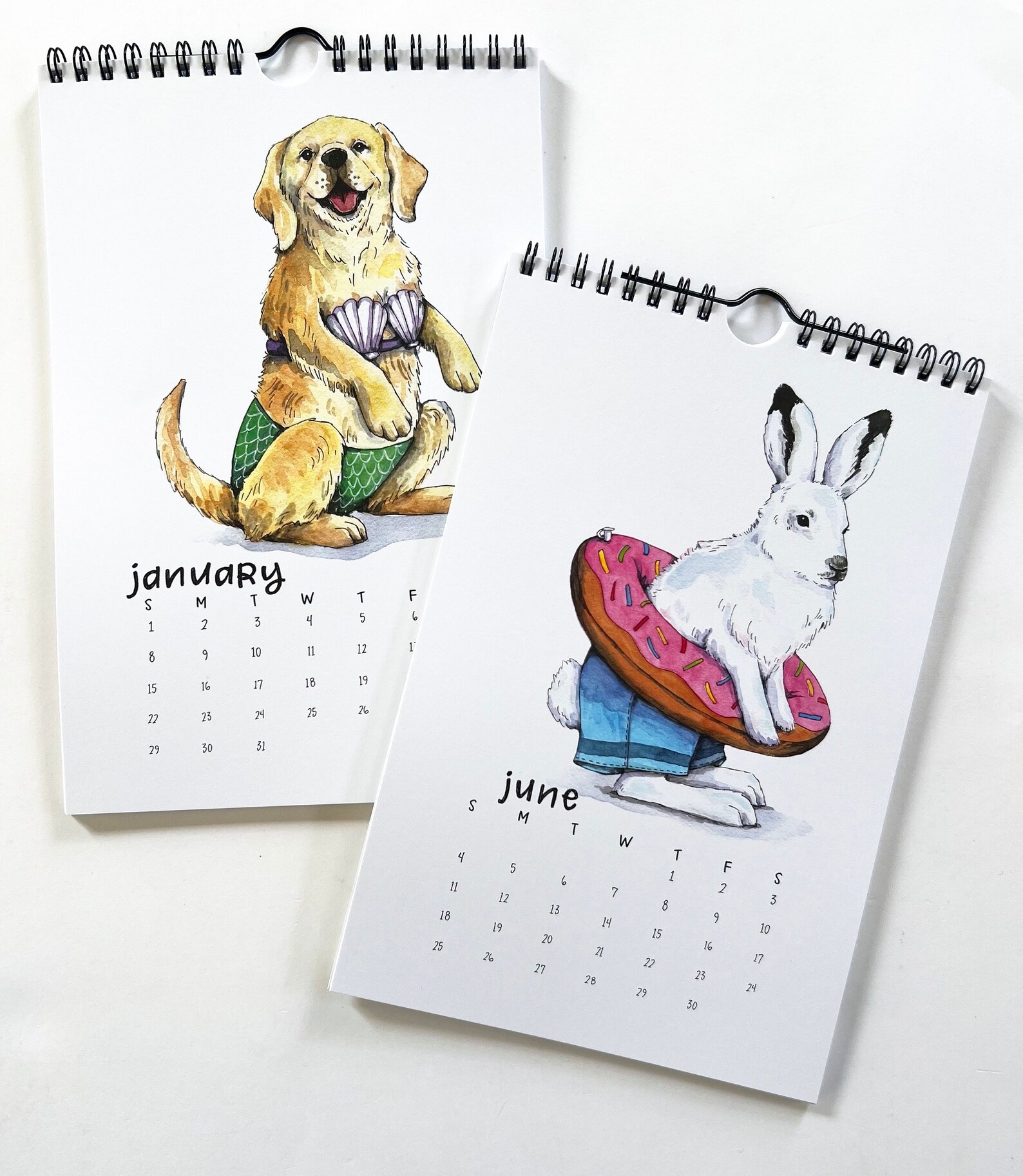 2023 Swimsuit Calendar Cute Animals Watercolor Funny Etsy