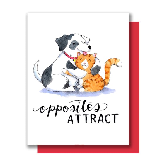 Are Cats And Dogs Opposites