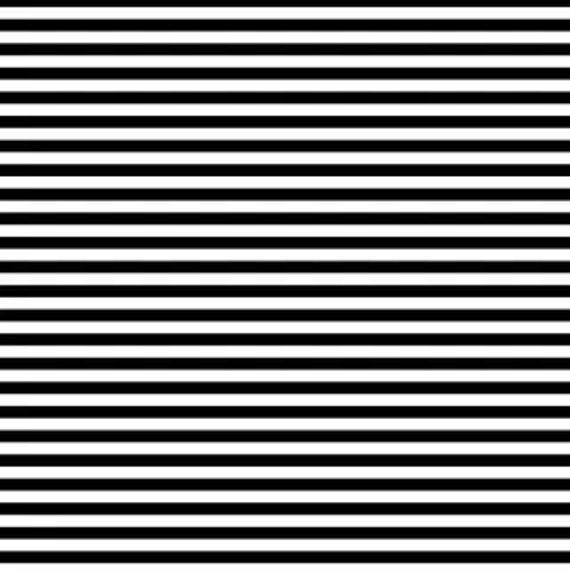 Crossroads - Stripes Zebra DV2803 - 1/2 yard