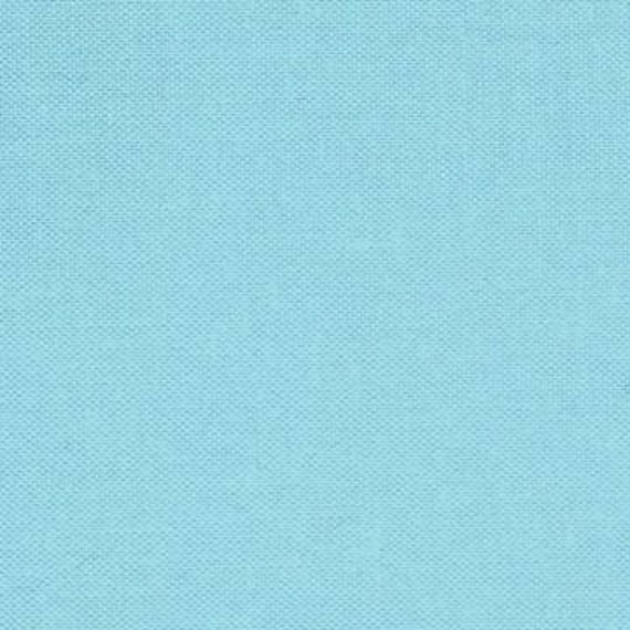 Devonstone Collection Solids - Mint DV124 - Fat Quarter