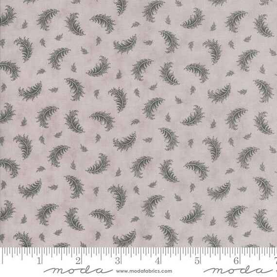 Quill - Plumes Feather 44151821
