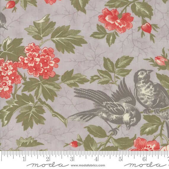 Quill - Bird Toile Feather 4415112