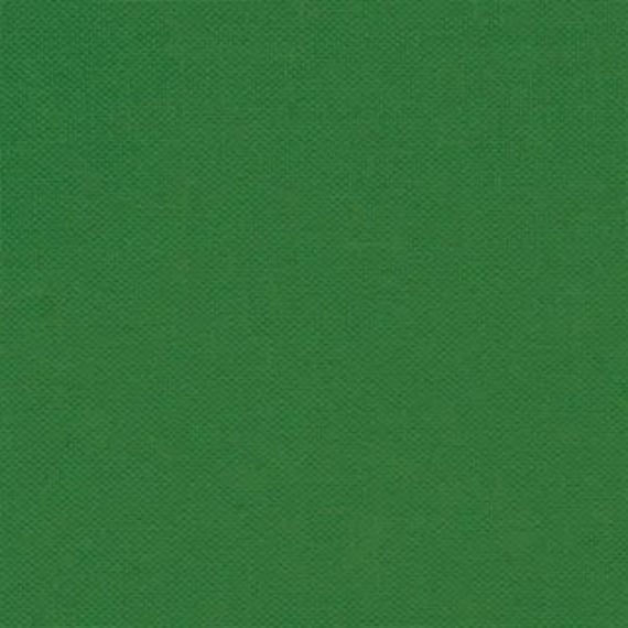 Devonstone Collection Solids - Crocodile Green DV030 - Fat Quarter