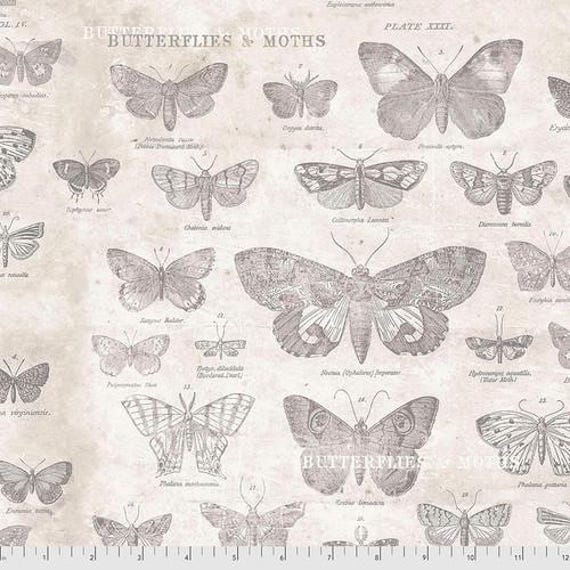 Monochrome by Tim Holtz - PWTH004 Parchment - 1/2 yd