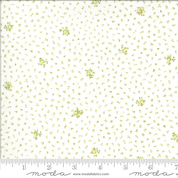 Dover by Brenda Riddle 1870214 - 1/2 yard