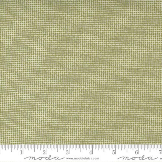 Renew 5556513 - Sweetwater - 1/2 yard