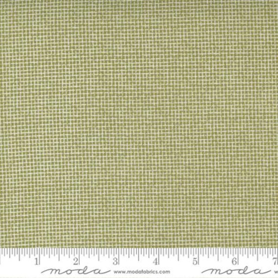 Renew 5556513 - Sweetwater - 1/2 yard