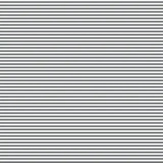 Crossroads - Stripes Zebra DV2805 - 1/2 yard