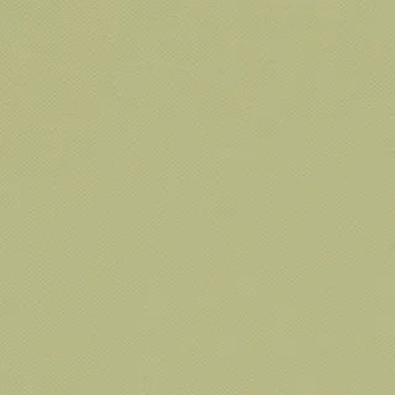 Devonstone Collection Solids - Pistachio DV041 - 1/4 yard