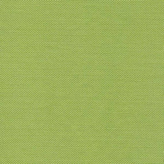 Devonstone Collection Solids - Light Green DV102 - Fat Quarter