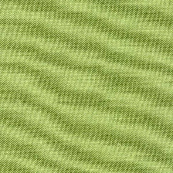 Devonstone Collection Solids - Light Green DV102 - Fat Quarter