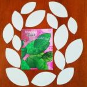 May include: A book titled "The Complete Guide to Growing Basil" surrounded by 12 white leaf-shaped paper cutouts on a brown wooden surface.